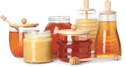 Superfood Feb LP 2022